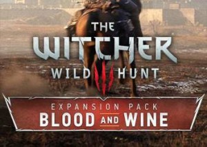 1464158951_the-witcher-3